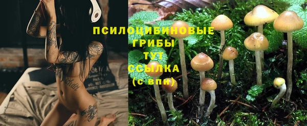 COCAINE Костерёво