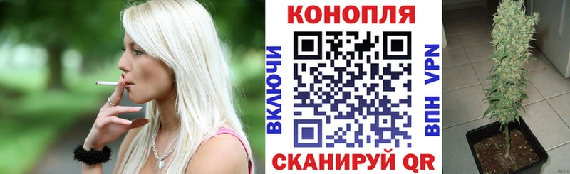 закладки  Каменск-Шахтинский  Каннабис тримм 